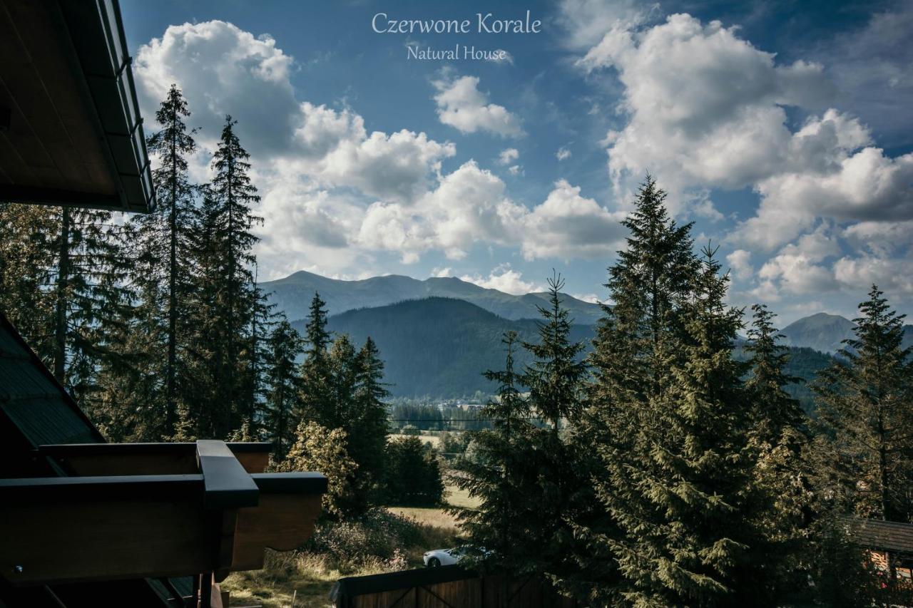 Magiczne Korale - Kameralne Miejsce Na Odpoczynek Dla Doroslych - Adult Only Koscielisko Exterior photo